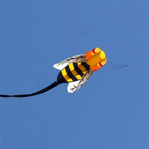 kites