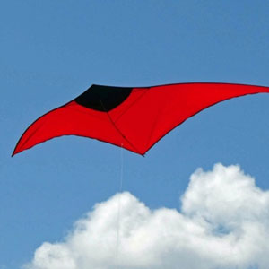 kites