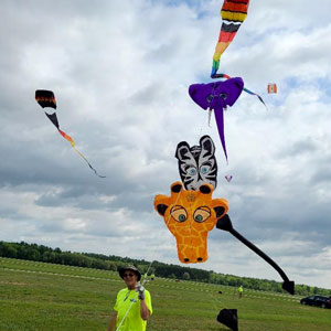 kites