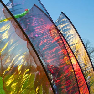 kites
